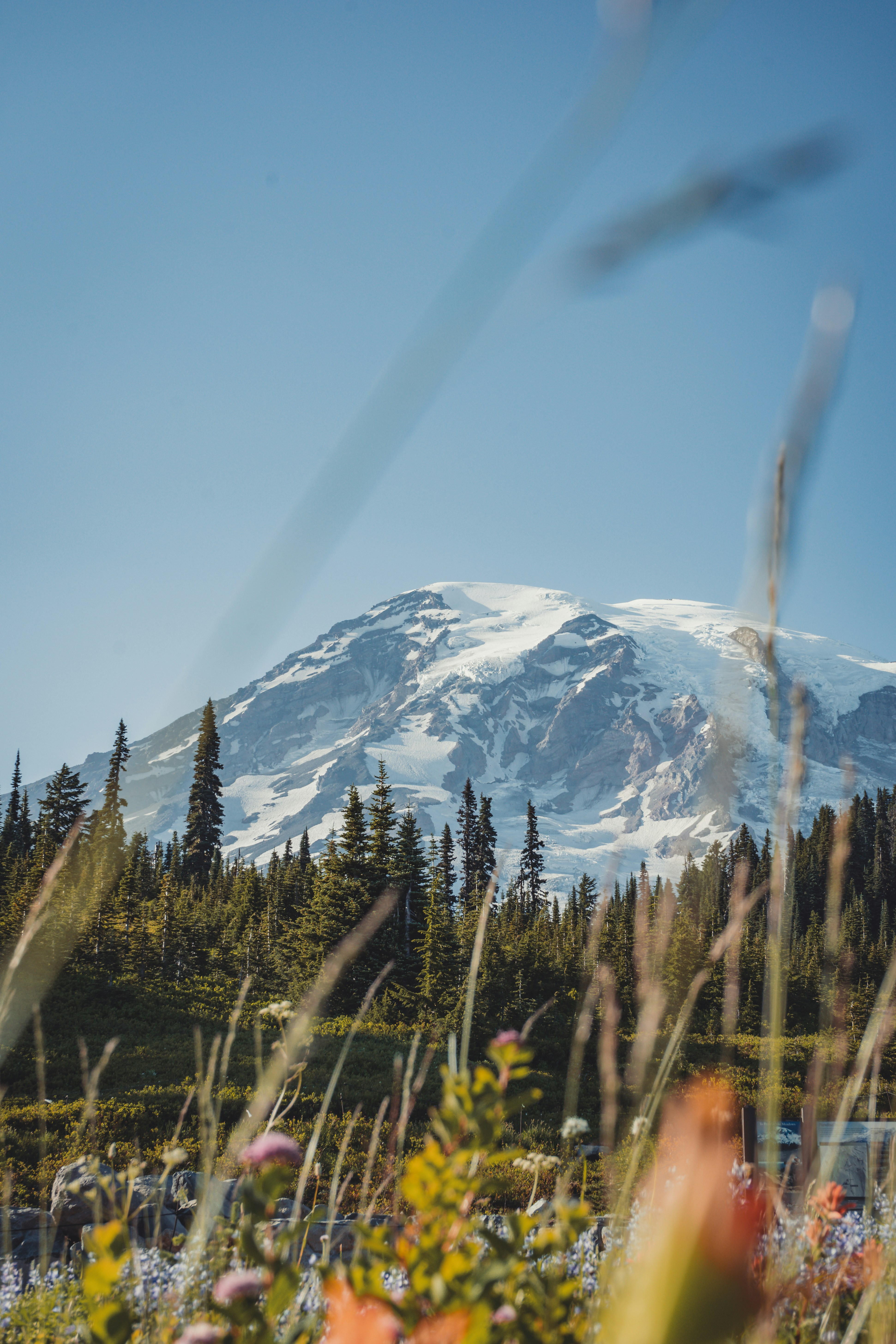 Mount Rainier