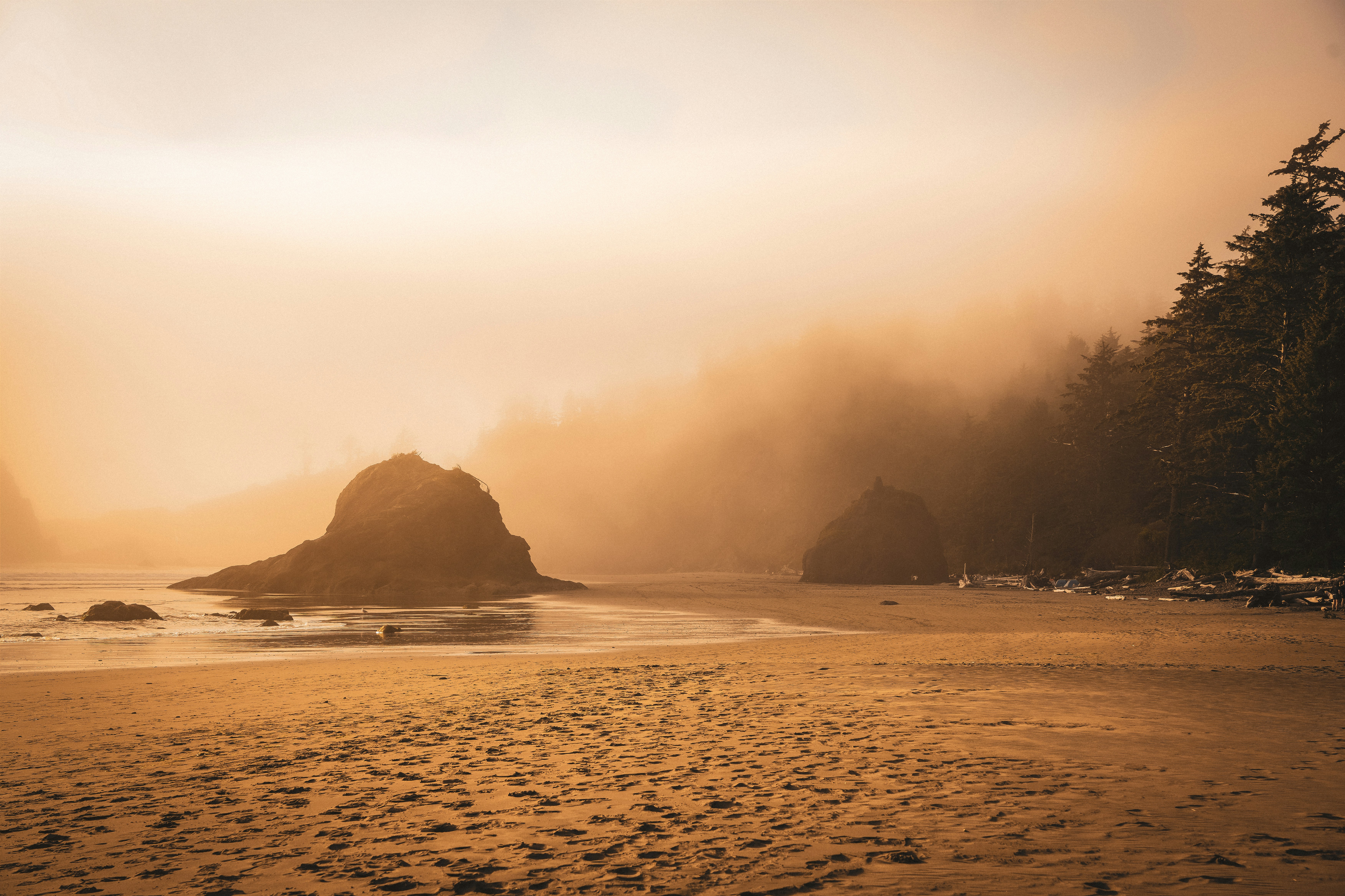 Oregon Coast